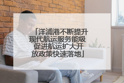 洋浦港不断提升现代航运服务能级 促进航运扩大开放政策快速落地