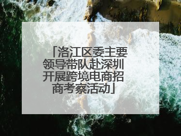 洛江区委主要领导带队赴深圳开展跨境电商招商考察活动