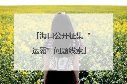 海口公开征集“运霸”问题线索