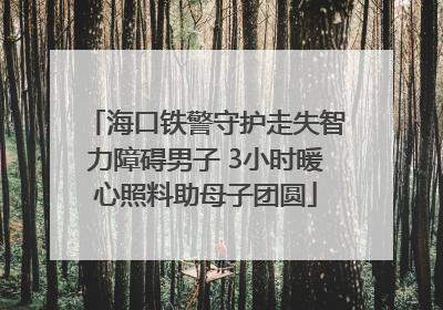 海口铁警守护走失智力障碍男子 3小时暖心照料助母子团圆