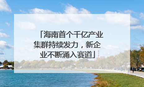 海南首个千亿产业集群持续发力，新企业不断涌入赛道