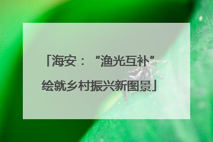 海安：“渔光互补” 绘就乡村振兴新图景