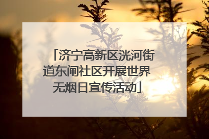 济宁高新区洸河街道东闸社区开展世界无烟日宣传活动