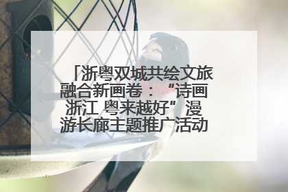 浙粤双城共绘文旅融合新画卷：“诗画浙江 粤来越好”漫游长廊主题推广活动在广州花城汇启幕