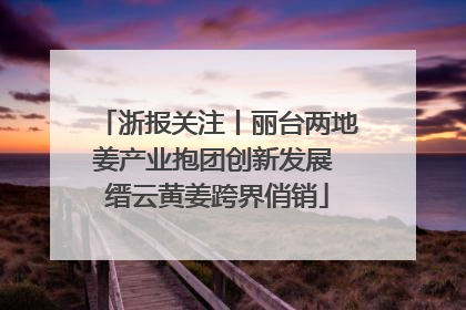 浙报关注丨丽台两地姜产业抱团创新发展 缙云黄姜跨界俏销