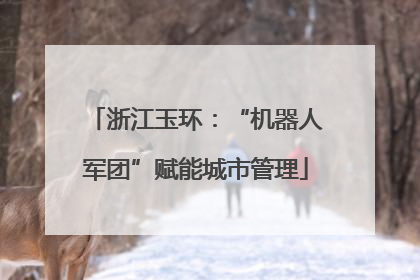 浙江玉环：“机器人军团”赋能城市管理