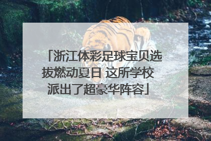 浙江体彩足球宝贝选拔燃动夏日 这所学校派出了超豪华阵容