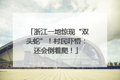 浙江一地惊现“双头蛇”！村民吓懵：还会倒着爬！