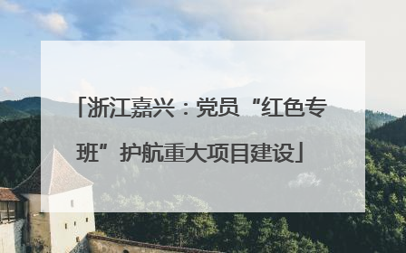 浙江嘉兴：党员“红色专班”护航重大项目建设