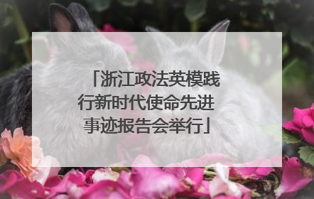 浙江政法英模践行新时代使命先进事迹报告会举行