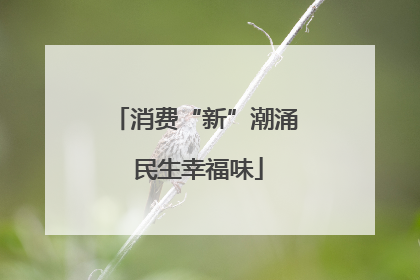 消费“新”潮涌 民生幸福味