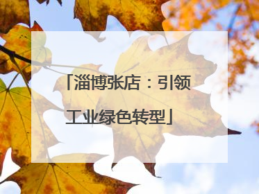 淄博张店：引领工业绿色转型