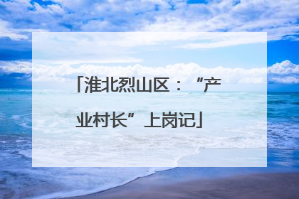 淮北烈山区：“产业村长”上岗记