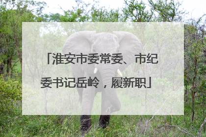淮安市委常委、市纪委书记岳岭，履新职