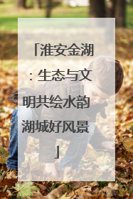 淮安金湖：生态与文明共绘水韵湖城好风景