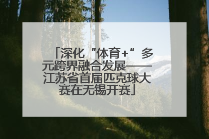 深化“体育+”多元跨界融合发展——江苏省首届匹克球大赛在无锡开赛