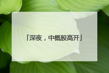 深夜，中概股高开