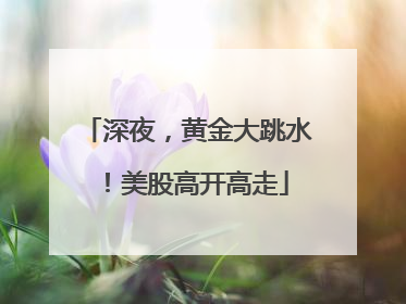深夜，黄金大跳水！美股高开高走