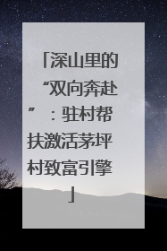 深山里的“双向奔赴”：驻村帮扶激活茅坪村致富引擎