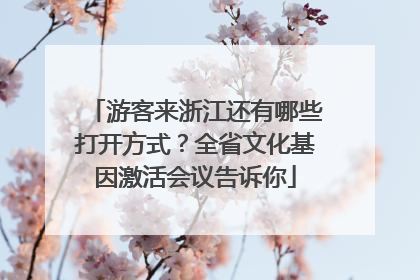 游客来浙江还有哪些打开方式？全省文化基因激活会议告诉你