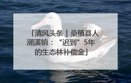 清风头条｜桑植县人潮溪镇：“迟到”5年的生态林补偿金