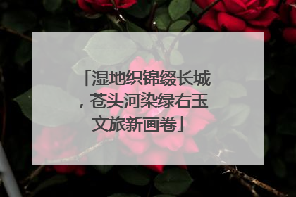 湿地织锦缀长城，苍头河染绿右玉文旅新画卷