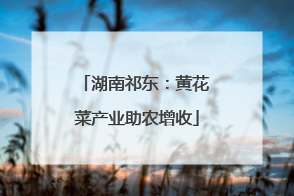 湖南祁东：黄花菜产业助农增收