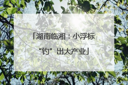 湖南临湘：小浮标“钓”出大产业