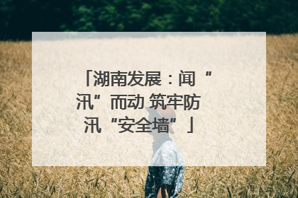 湖南发展：闻“汛”而动 筑牢防汛“安全墙”