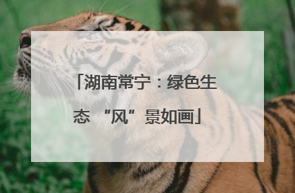 湖南常宁：绿色生态 “风”景如画