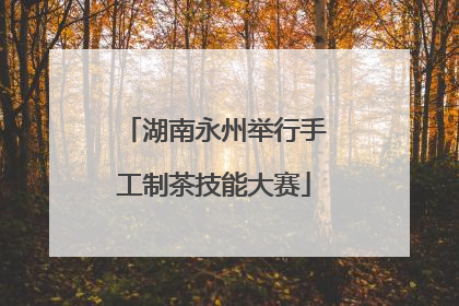 湖南永州举行手工制茶技能大赛
