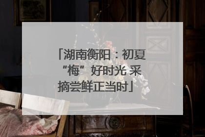 湖南衡阳：初夏“梅”好时光 采摘尝鲜正当时