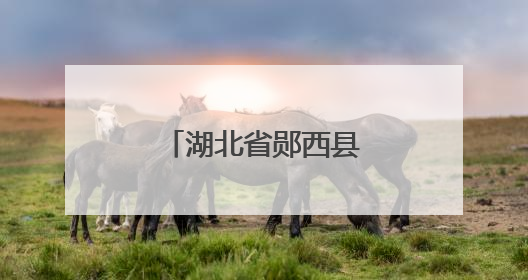 湖北省郧西县“烟火气”点亮“夜经济”
