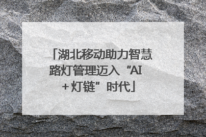 湖北移动助力智慧路灯管理迈入“AI＋灯链”时代