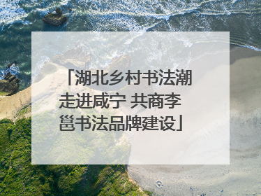 湖北乡村书法潮走进咸宁 共商李邕书法品牌建设