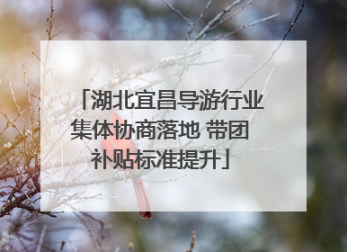 湖北宜昌导游行业集体协商落地 带团补贴标准提升