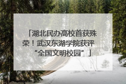 湖北民办高校首获殊荣！武汉东湖学院获评“全国文明校园”