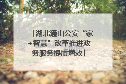 湖北通山公安“家+智慧”改革推进政务服务提质增效
