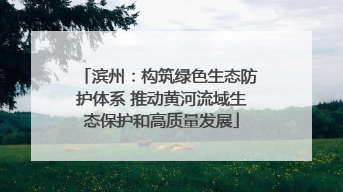 滨州：构筑绿色生态防护体系 推动黄河流域生态保护和高质量发展