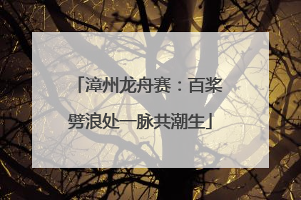 漳州龙舟赛：百桨劈浪处一脉共潮生