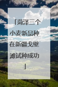 菏泽三个小麦新品种在新疆戈壁滩试种成功