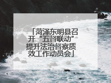 菏泽东明县召开“五督联动”提升法治督察质效工作动员会