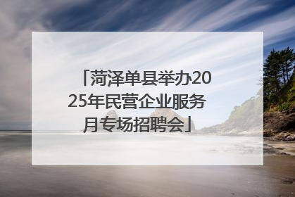 菏泽单县举办2025年民营企业服务月专场招聘会