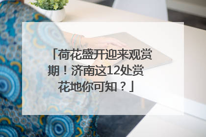 荷花盛开迎来观赏期！济南这12处赏花地你可知？