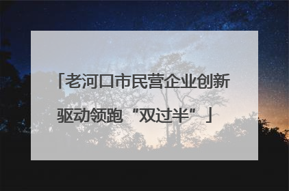 老河口市民营企业创新驱动领跑“双过半”