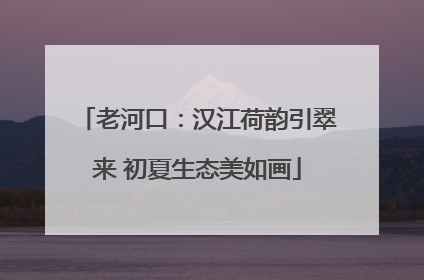老河口：汉江荷韵引翠来 初夏生态美如画