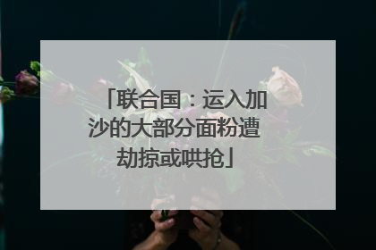 联合国：运入加沙的大部分面粉遭劫掠或哄抢