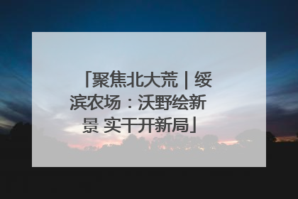 聚焦北大荒｜绥滨农场：沃野绘新景 实干开新局