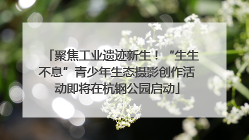 聚焦工业遗迹新生！“生生不息”青少年生态摄影创作活动即将在杭钢公园启动
