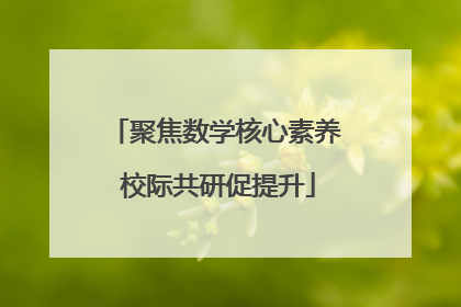 聚焦数学核心素养 校际共研促提升